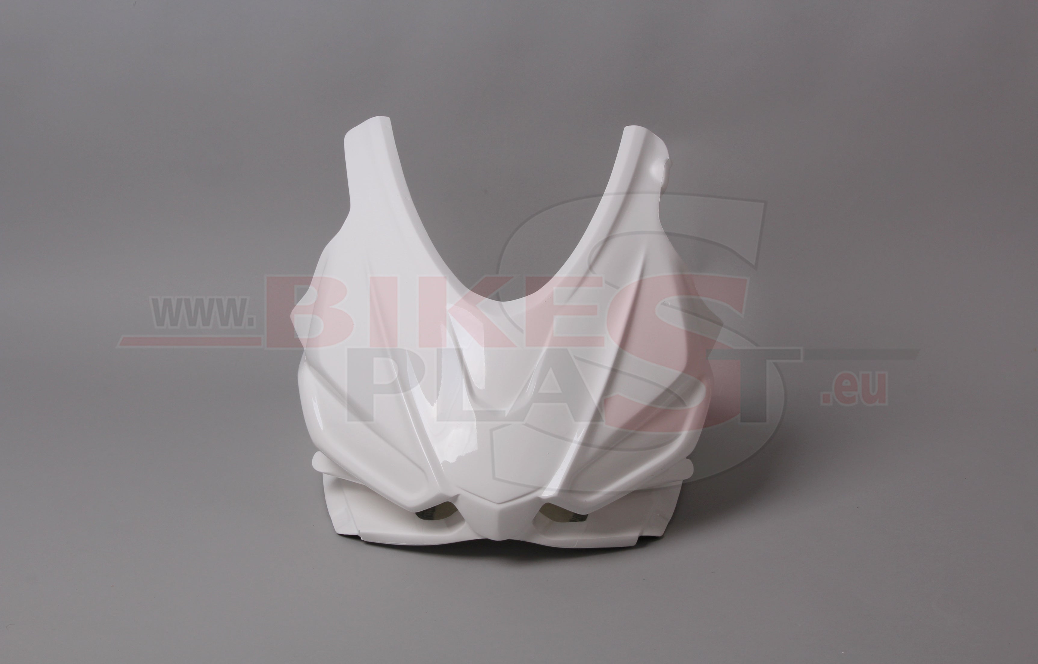 Bikesplast - Upper Fairing - RS660